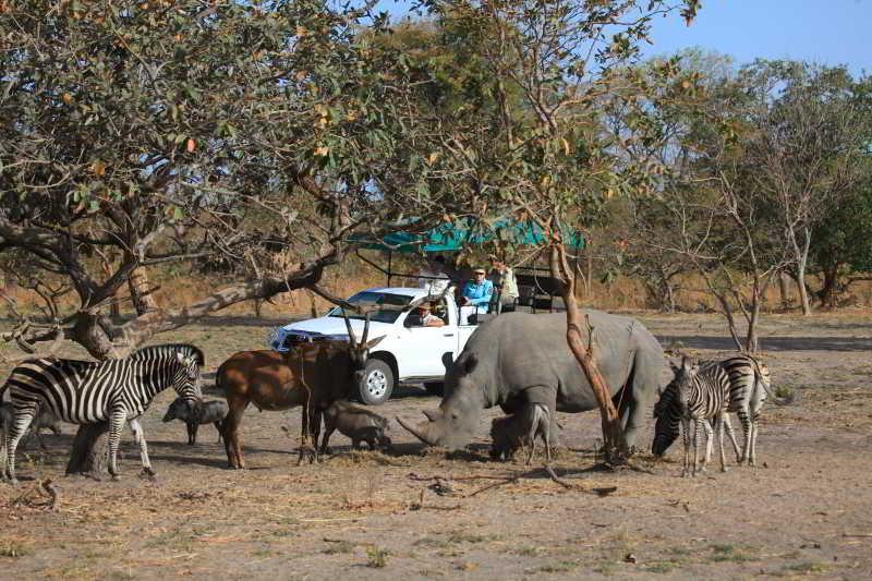 Fathala Wildlife Reserve Toubakouta 외부 사진