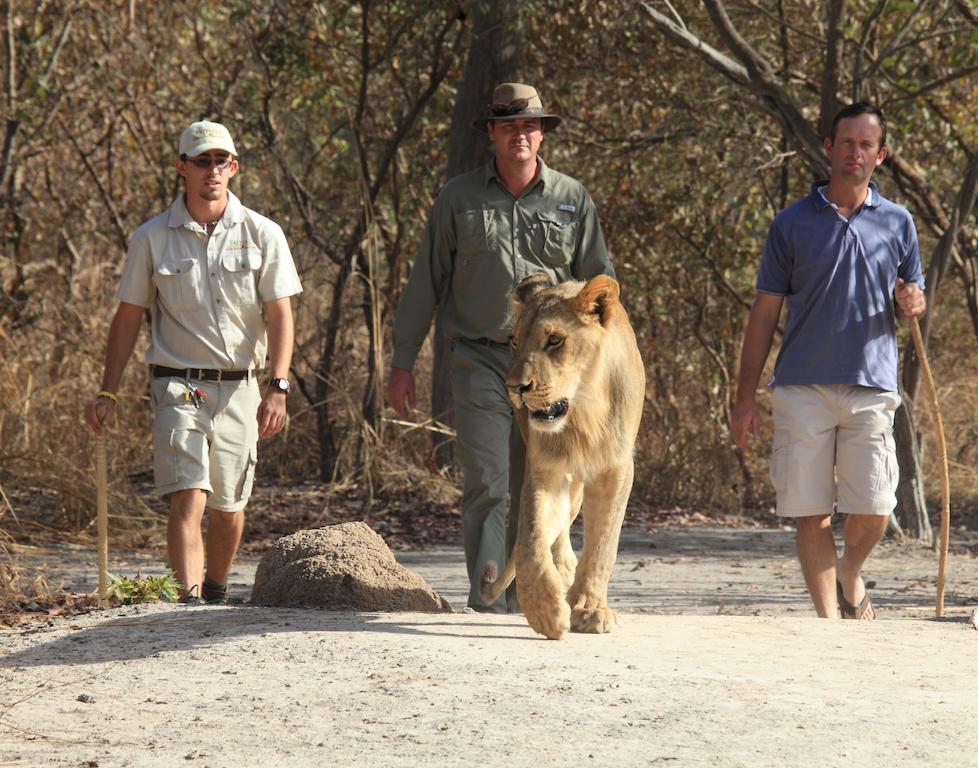 Fathala Wildlife Reserve Toubakouta 외부 사진
