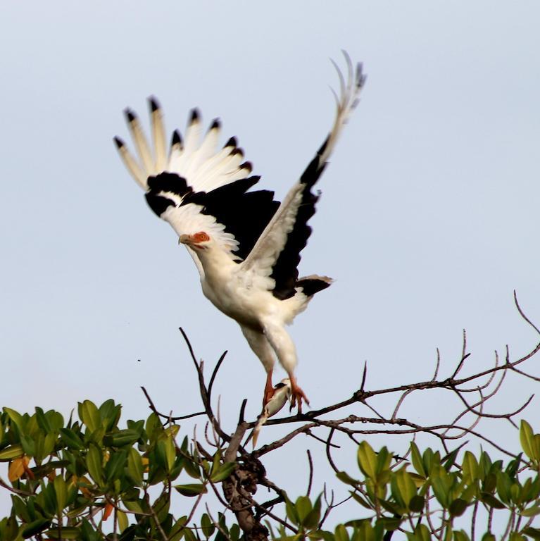 Fathala Wildlife Reserve Toubakouta 외부 사진