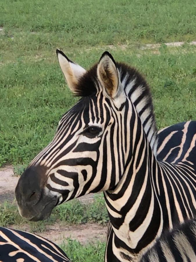 Fathala Wildlife Reserve Toubakouta 외부 사진