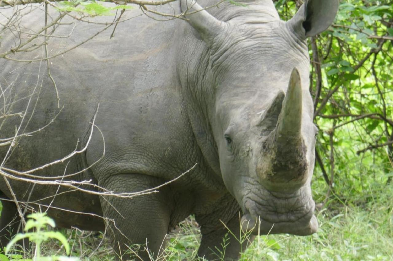 Fathala Wildlife Reserve Toubakouta 외부 사진